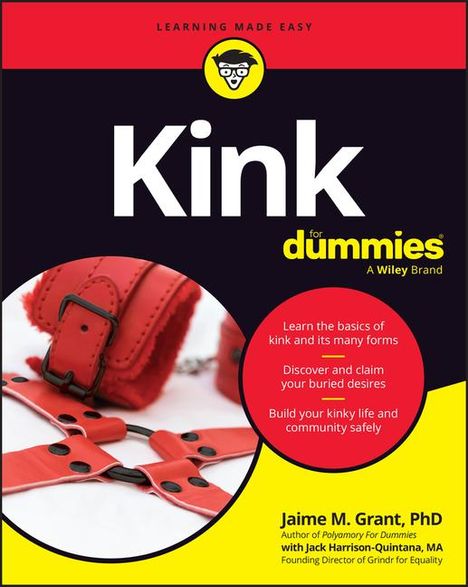 Jaime M Grant: Kink for Dummies, Buch