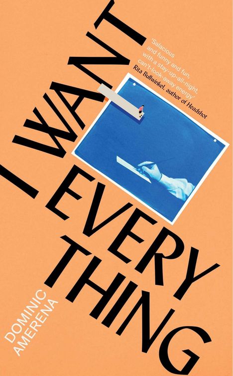 Text: "I WANT EVERYTHING", "DOMINIC AMERENA", Zitat von Rita Bullwinkel. Grafik: Rechteckiger Pool mit einem Sprungbrett.