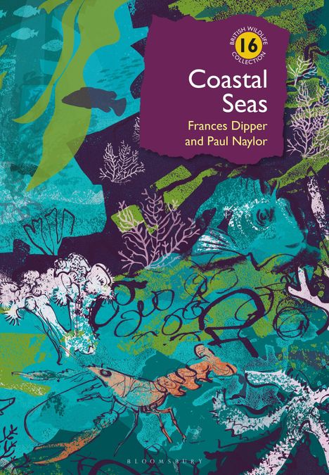 Frances Dipper: Coastal Seas, Buch