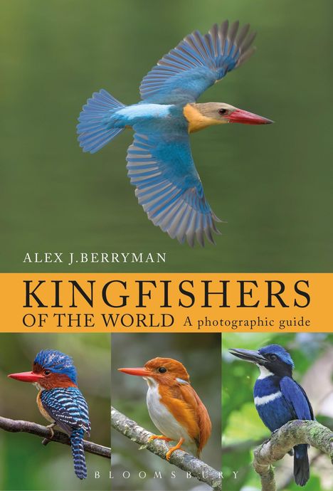 „KINGFISHERS OF THE WORLD A photographic guide“ von Alex J. Berryman. Drei Eisvögel, einer im Flug oben, zwei sitzend unten.