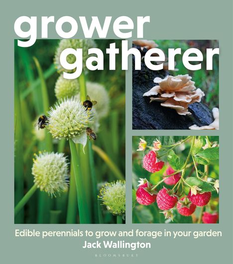 Texte: "grower gatherer", "Edible perennials to grow and forage in your garden", "Jack Wallington". Drei Fotos: Zwiebeln mit Bienen, Pilze, Himbeeren.
