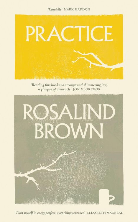 Rosalind Brown: Practice, Buch