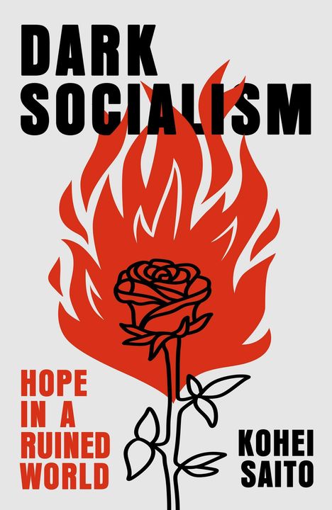 „DARK SOCIALISM“ oben, „HOPE IN A RUINED WORLD“ links, „KOHEI SAITO“ rechts. Illustration: Rose in Flammen.