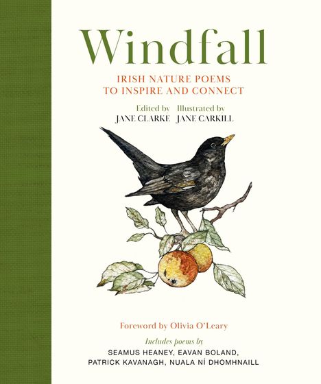 Jane Clarke: Windfall, Buch