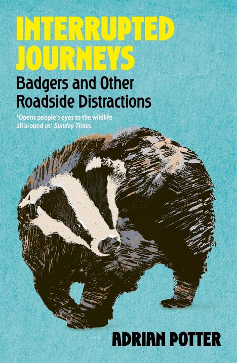 "Interrupted Journeys: Badgers and Other Roadside Distractions" von Adrian Potter. Illustration eines Dachses auf blauem Hintergrund.