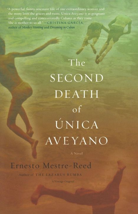 "The Second Death of Única Aveyano" von Ernesto Mestre-Reed. Im Hintergrund schwimmen Menschen im verschwommenen Wasser.