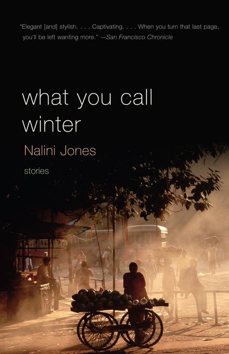 Nalini Jones: What You Call Winter, Buch