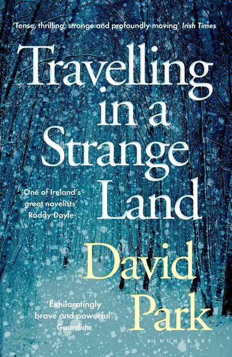 David Park: Travelling in a Strange Land, Buch