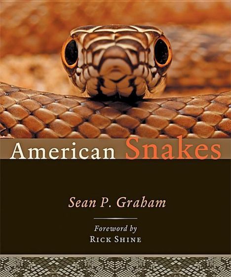 Sean P Graham: American Snakes, Buch