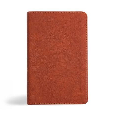 Holman Bible Publishers: NASB Personal Size Bible, Burnt Sienna Leathertouch, Buch