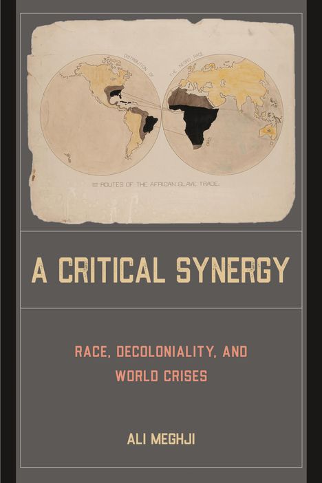 Ali Meghji: A Critical Synergy, Buch