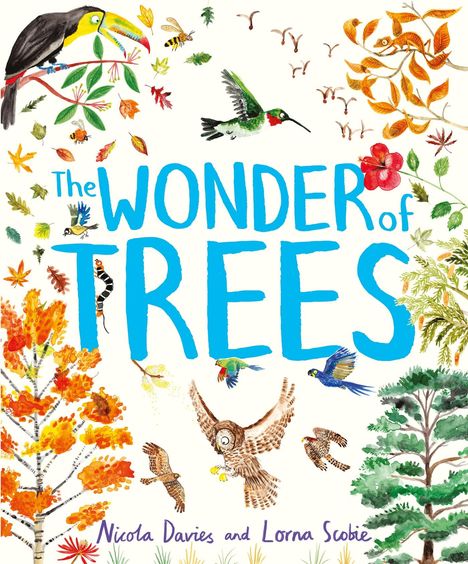 Nicola Davies: The Wonder of Trees, Buch