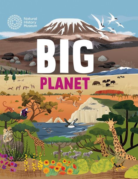 Jon Richards: Big Planet, Buch