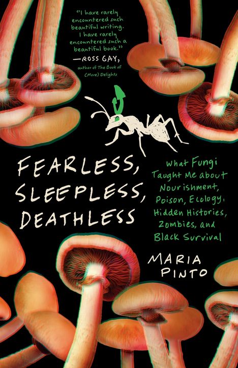 Maria Pinto: Fearless, Sleepless, Deathless, Buch