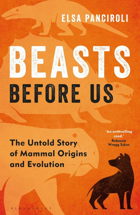 Elsa Panciroli: Beasts Before Us, Buch