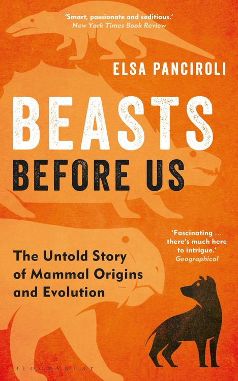 Elsa Panciroli: Beasts Before Us, Buch