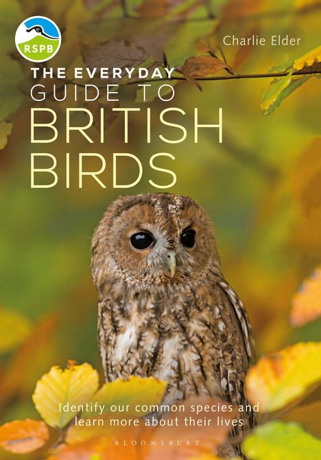 Charlie Elder: The Everyday Guide to British Birds: Identify Our Common Species and Learn More about Their Lives, Buch