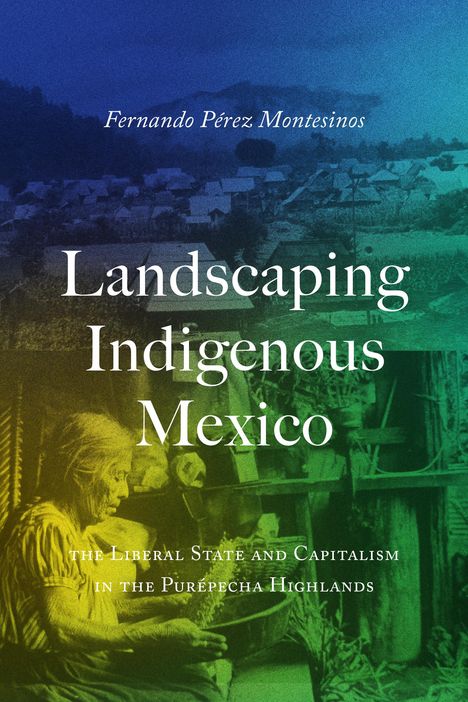 Fernando Pérez-Montesinos: Landscaping Indigenous Mexico, Buch