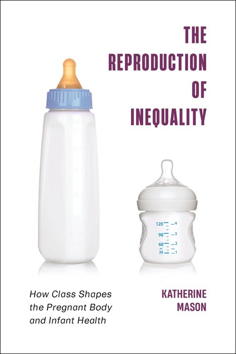 Katherine Mason: The Reproduction of Inequality, Buch