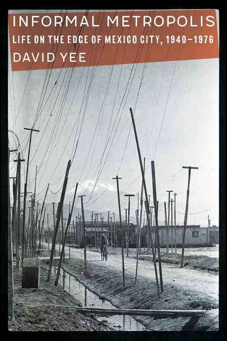 David Yee: Informal Metropolis, Buch