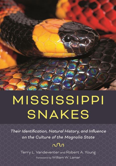 "MISSISSIPPI SNAKES" in gelber Schrift. Nahaufnahme einer bunten Schlange mit gelben und roten Schuppen.