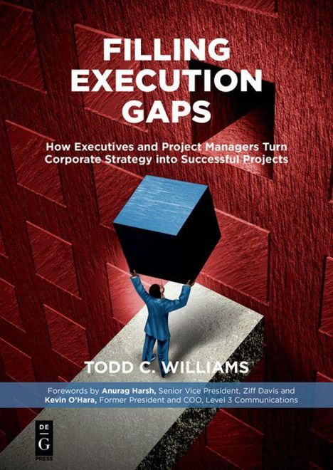 "Filling Execution Gaps" steht groß oben, darüber ein Mensch in Blau, der einen großen Würfel hält, in einer Lücke.