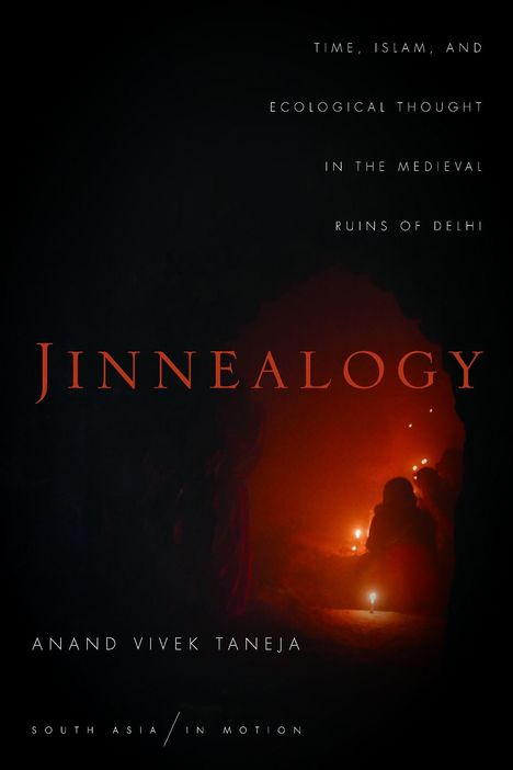 Anand Vivek Taneja: Jinnealogy, Buch