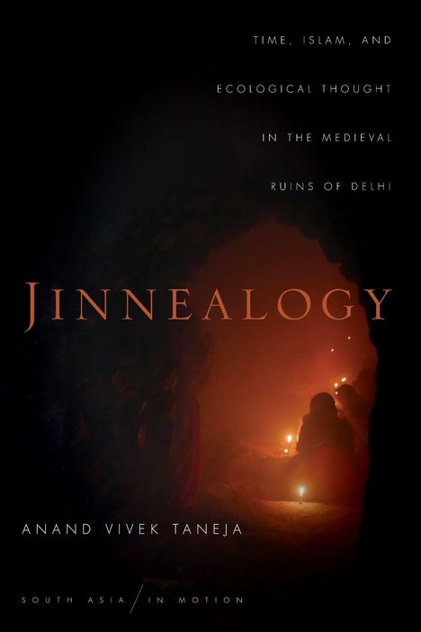 Anand Vivek Taneja: Jinnealogy, Buch