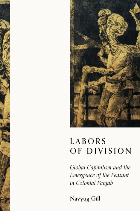 Navyug Gill: Labors of Division, Buch