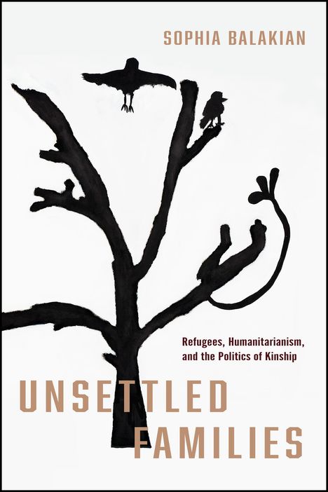 Sophia Balakian: Unsettled Families, Buch