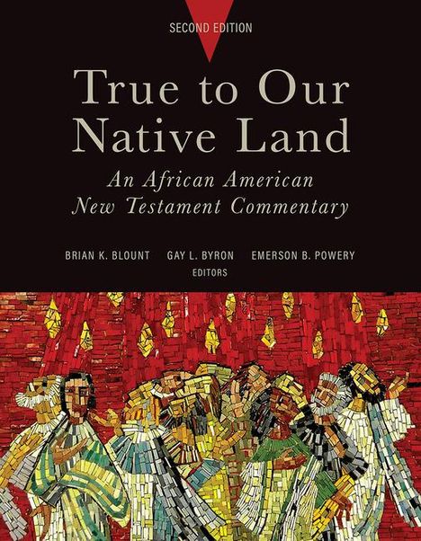 True to Our Native Land, Second Edition: An African American New Testament Commentary, Buch