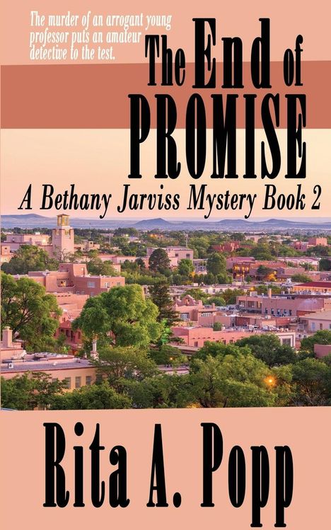 Rita A. Popp: The End of Promise, Buch