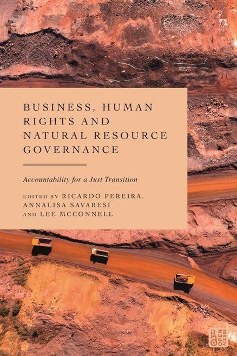 Text: "Business, Human Rights and Natural Resource Governance. Accountability for a Just Transition." Bild: Braune Erdlandschaft.