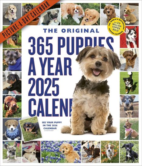 Workman Calendars: 365 Puppies-A-Year Picture-A-Day(r) Wall Calendar 2025, Kalender