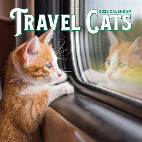 Workman Calendars: Travel Cats Wall Calendar 2025, Kalender