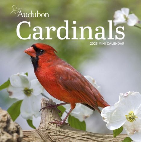 National Audubon Society: Audubon Cardinals Mini Wall Calendar 2025, Kalender