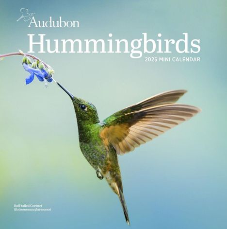 National Audubon Society: Audubon Hummingbirds Mini Wall Calendar 2025, Kalender