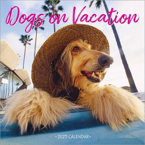 Workman Calendars: Dogs on Vacation Wall Calendar 2025, Kalender