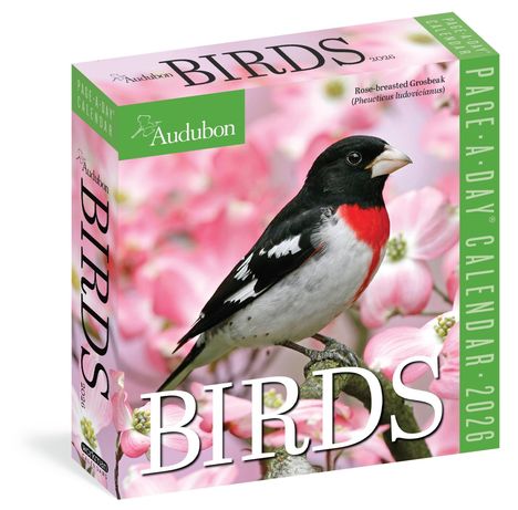 Workman Calendars: Audubon Birds Page-A-Day(r) Calendar 2026, Kalender
