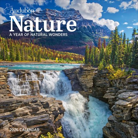 Workman Calendars: Audubon Nature Wall Calendar 2026, Kalender