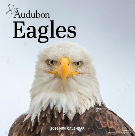 Workman Calendars: Audubon Eagles Mini Wall Calendar 2026, Kalender