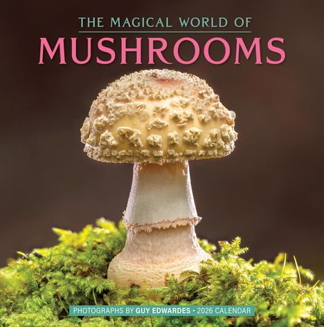 Workman Calendars: The Magical World of Mushrooms Wall Calendar 2026, Kalender