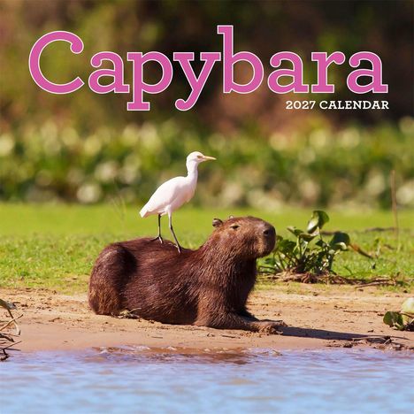Text: "Capybara 2027 Calendar". Ein Capybara liegt am Ufer, mit einem weißen Vogel auf dem Rücken.