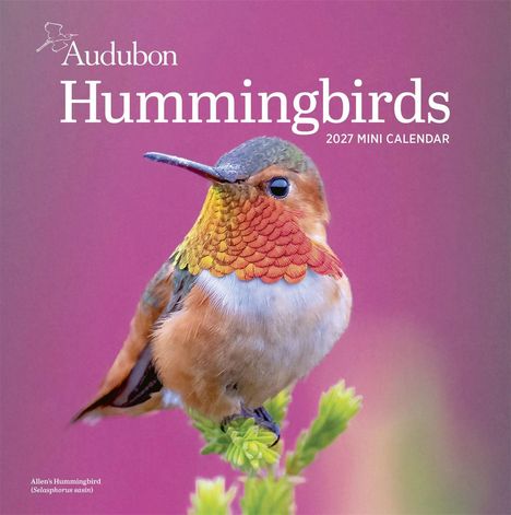 „Audubon Hummingbirds 2027 Mini Calendar“. Ein Kolibri mit buntem Gefieder sitzt auf einer Pflanze.