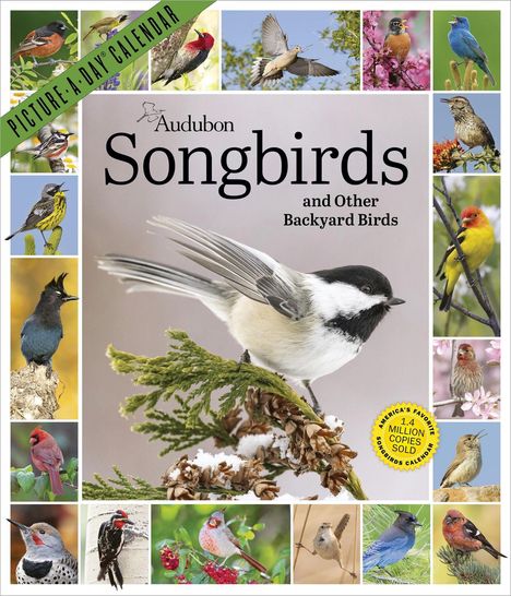 "Audubon Songbirds and Other Backyard Birds." Zeigt viele bunte Singvögel, zentral ein schwarz-weiß gefiederter Vogel.