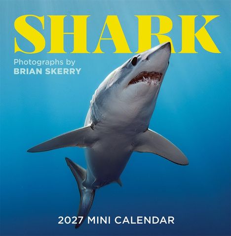 "SHARK" in gelb, "Photographs by BRIAN SKERRY", "2027 MINI CALENDAR". Bild eines Hais im blauen Wasser.