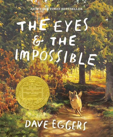 Dave Eggers: The Eyes and the Impossible, Buch