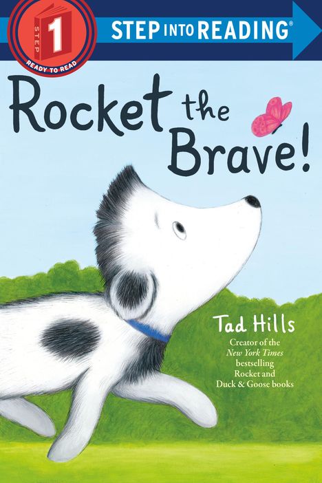 Tad Hills: Rocket the Brave!, Buch