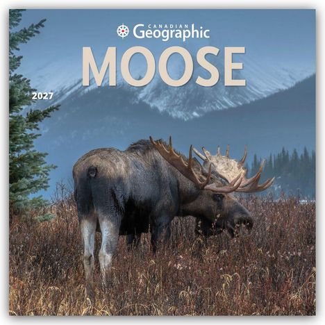 Oben steht "CANADIAN Geographic MOOSE 2027". Ein Elch steht in einem Feld vor schneebedeckten Bergen.