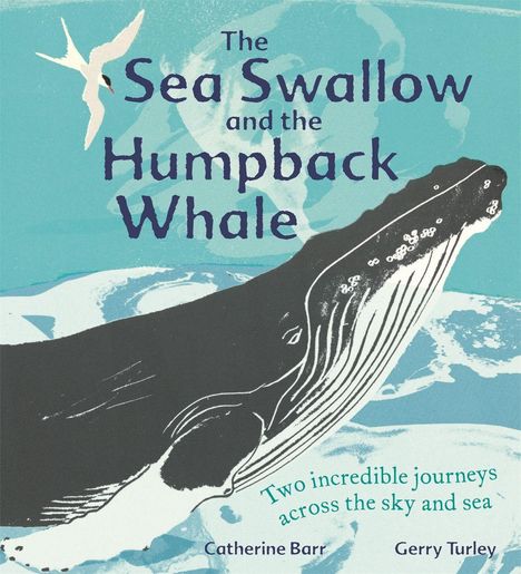 Catherine Barr: The Sea Swallow and the Humpback Whale, Buch